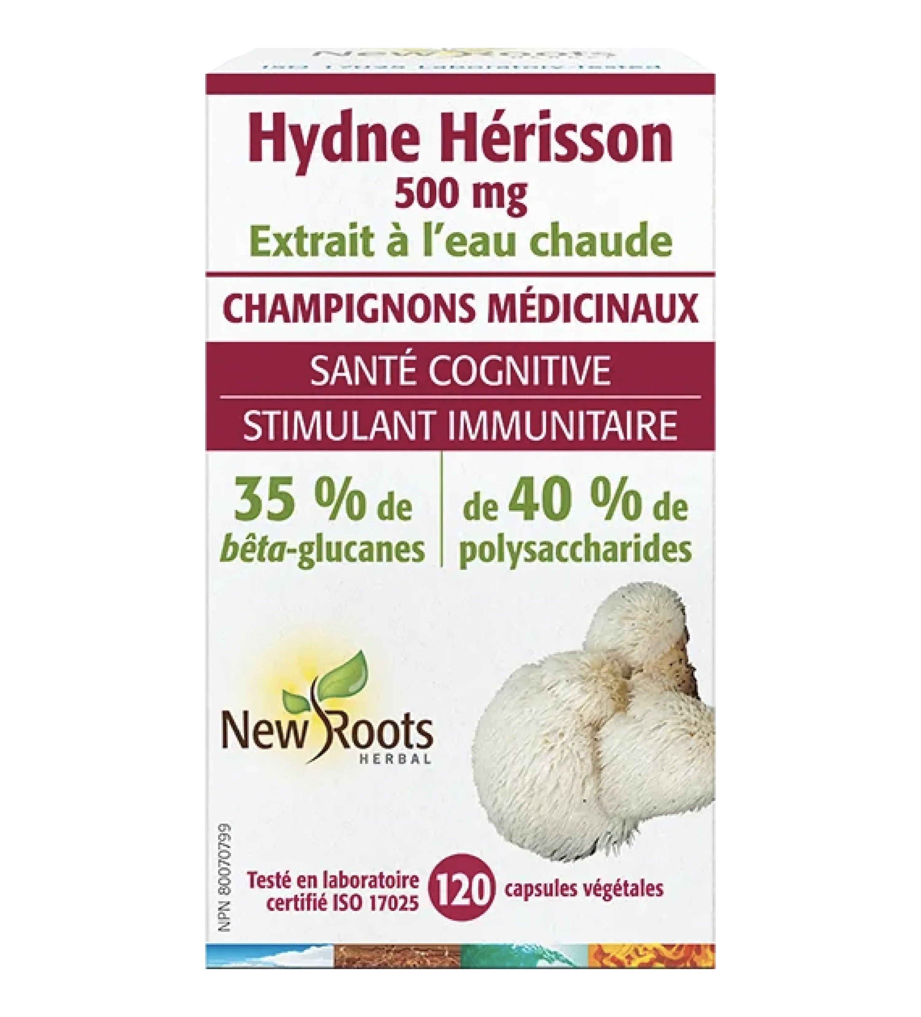 Hydne Hérisson - Lion's Mane - Crinière de lion - 500mg - New Roots - 60 ou 120 capsules